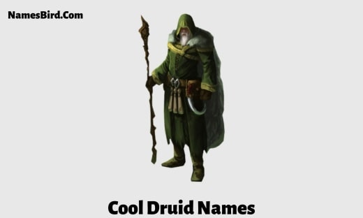 Cool Druid Names
