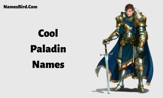 Cool Paladin Names