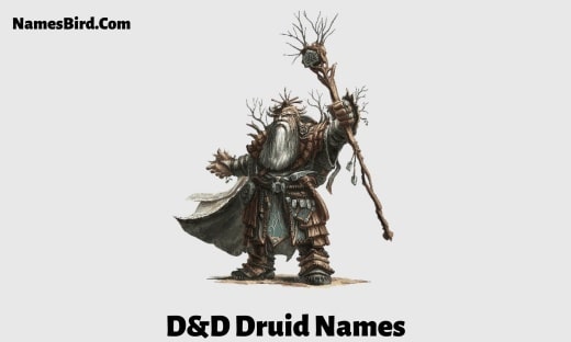 Dnd_D&D Druid Names