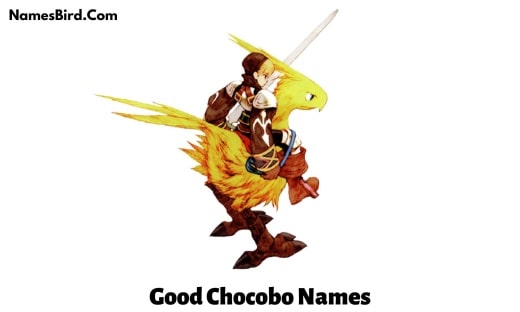Good Chocobo Names