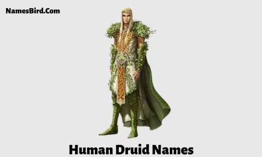 Human Druid Names