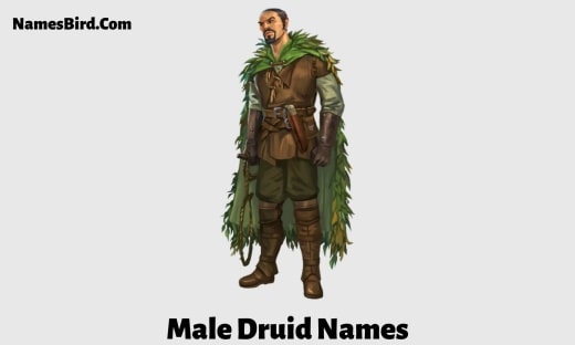 Male Druid Names
