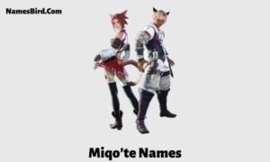 Miqo’te Names