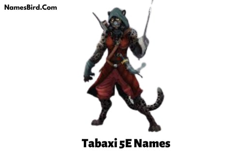 Tabaxi 5E Names
