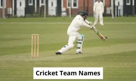 Cricket Team Names