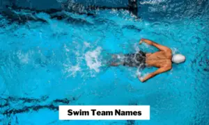 Swim Team Names