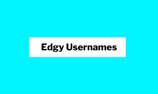 Edgy Usernames