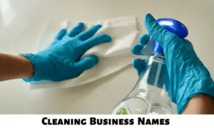 Cleaning Business Names